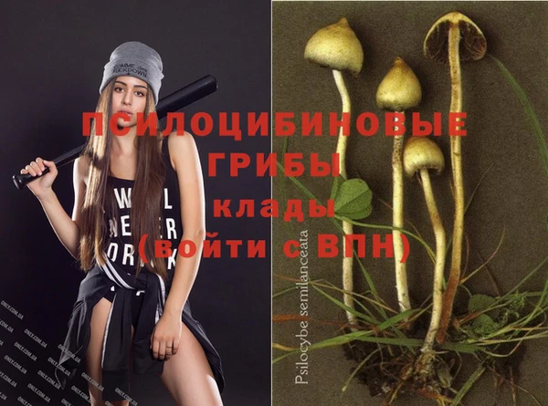 гашик Балабаново
