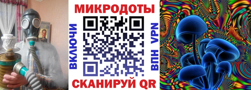 Псилоцибиновые грибы мицелий  Красный Кут 